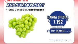 Buah Segar Harga Miring? Hanya di Transmart!