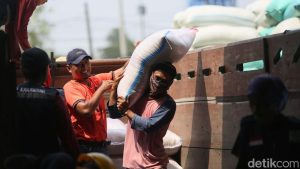 Bulog Ditugaskan Serap Gabah Petani Rp 6.500/Kg