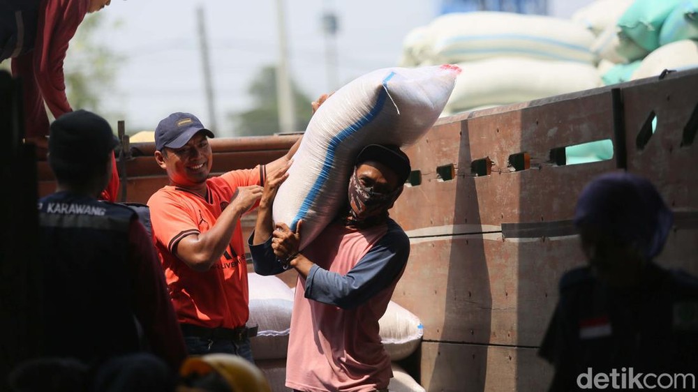 Bulog Ditugaskan Serap Gabah Petani Rp 6500Kg