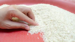 RI Optimis Swasembada Beras Tahun Ini?