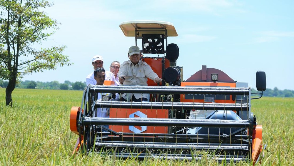 Panen Raya Produksi Beras Nasional Melonjak di 2025