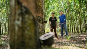 UMKM Makin Optimis, BRI Catat Ekspansi Berlanjut