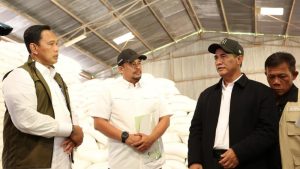 Pemerintah Selamatkan 33 Ribu Ha Sawah di Sumut