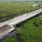Proyek Raksasa China dan Rusia Berminat Bangun Kereta Trans Kalimantan Masa Depan Transportasi Indonesia
