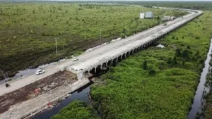 Proyek Raksasa China dan Rusia Berminat Bangun Kereta Trans Kalimantan Masa Depan Transportasi Indonesia